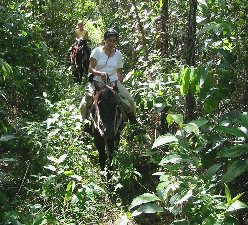 Mayan Jungle Ride- experience the beauty of the jungle on this riding tour of Belize