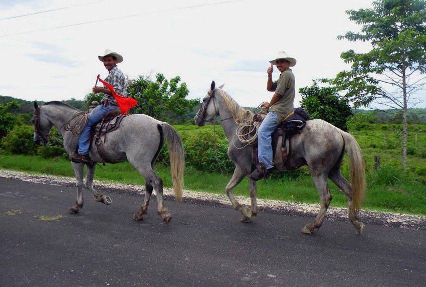 Mayan Jungle Ride- ride in good company on this horseback vacation in Belize