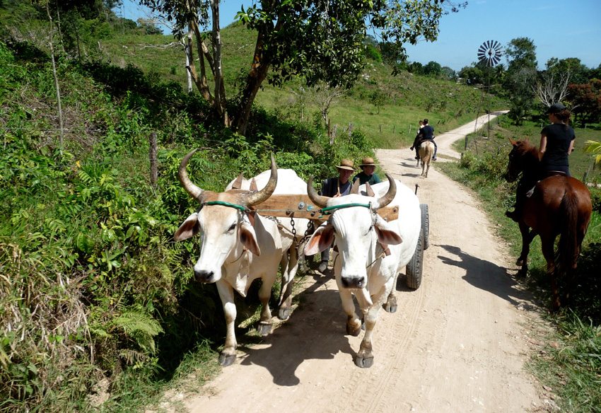 Mayan Jungle and Tikal- be a part of local culture on this riding vacation in Belize