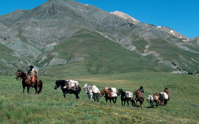 Bitterroot pack trip in Wyoming