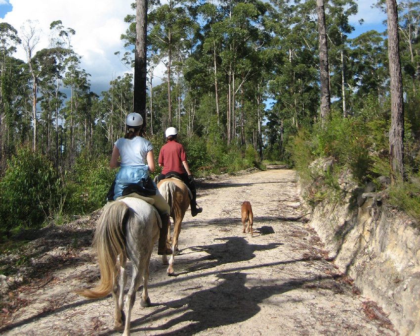 Enjoy paths through nature on the Boomerang horseback riding trip in Australia