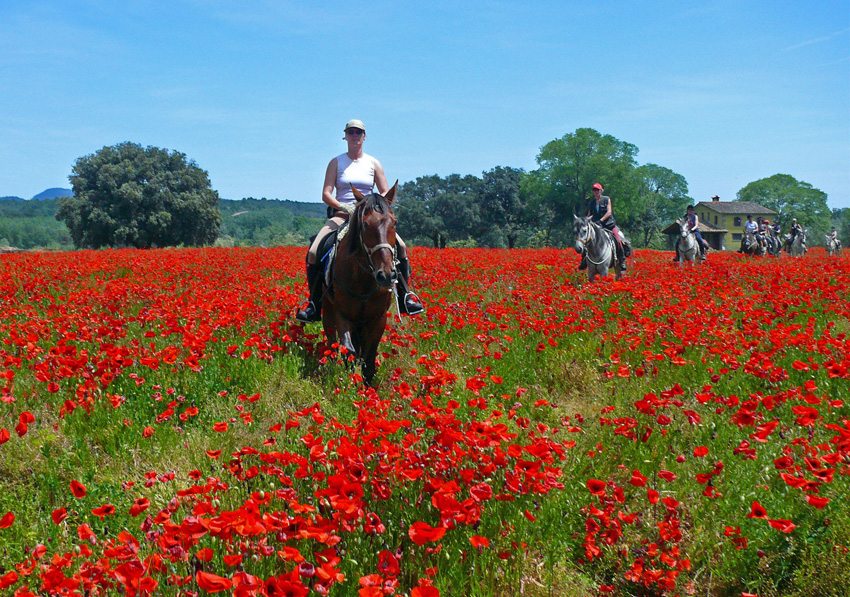 Enjoy the open countryside while horseback riding in Spain on the Catalonia Coast