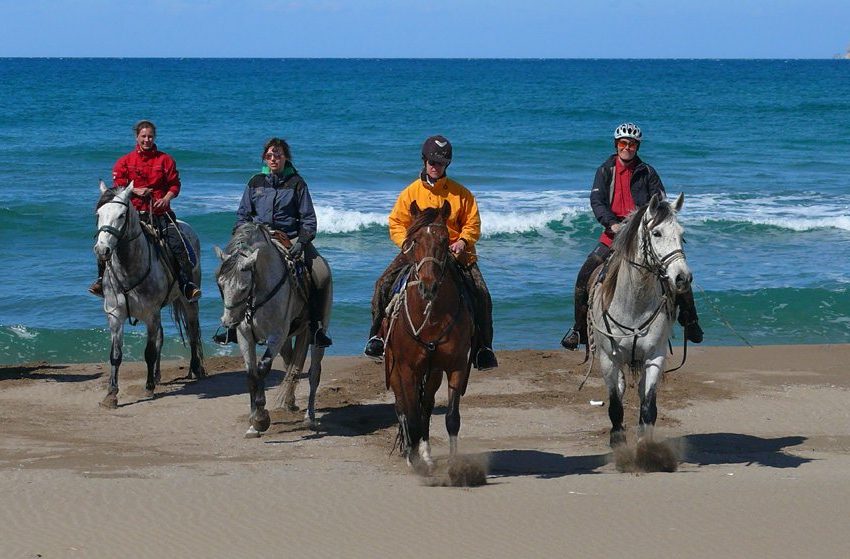 Ride on the beach in Spain on the Catalonian Coast horse riding holiday in Spain