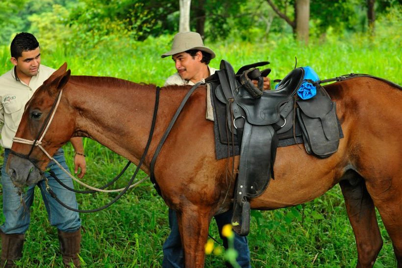 Odyssey- Costa Rica riding vacation on well-prepared horses