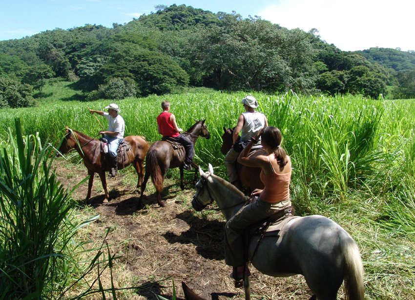 Odyssey- ride through verdant land on Costa Rica riding vacation