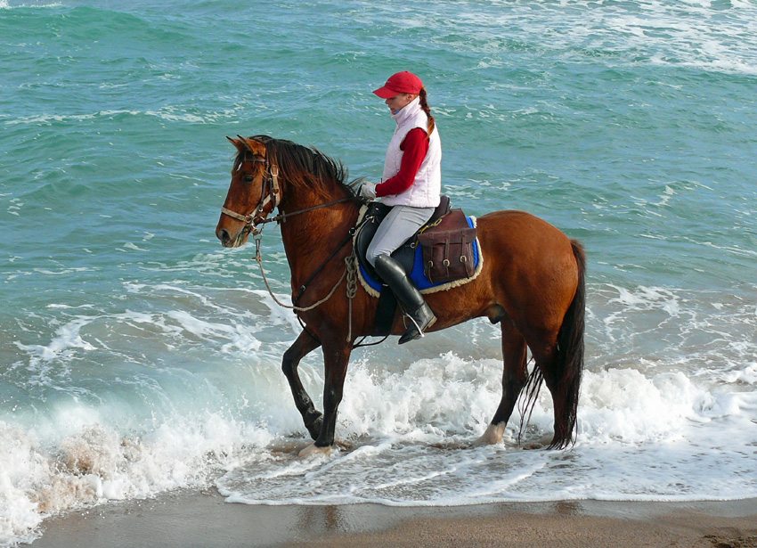 Ride horses on the beach in Spain on the Dali Coast Trail