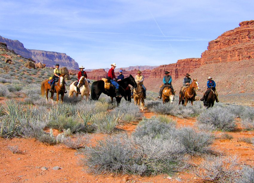 Travel with good company as you experience horseback riding in the Grand Canyon of Arizona