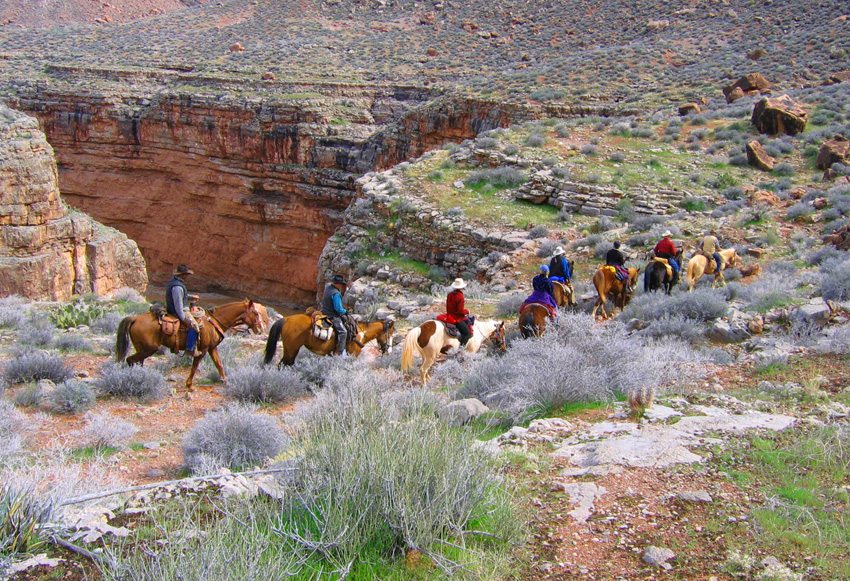 The Grand Canyon Winter Pastures horseback riding trek in Arizona