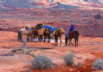 Ride through the Grand Canyon on this horseback riding trip in Arizona