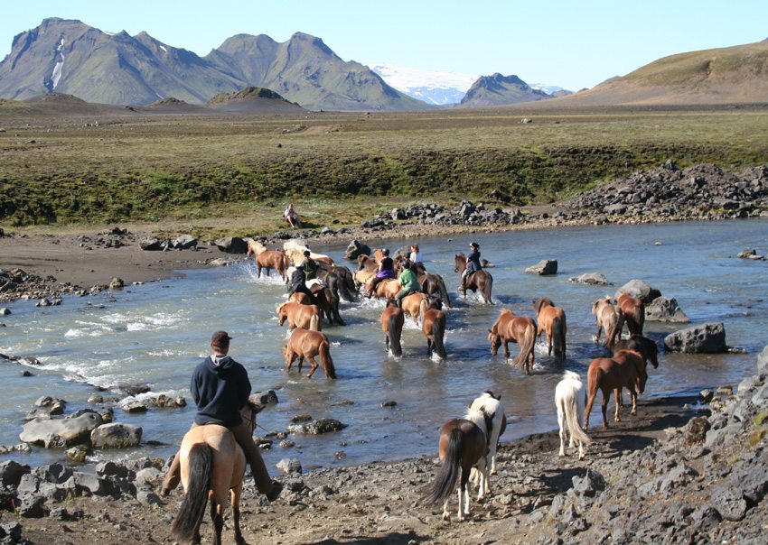 Hekla-Landmannalaugar Trail- ride through the Icelandic countryside on this riding holiday