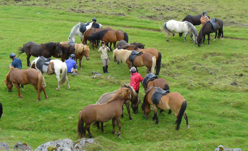 Fjallabak Tour- ride Icelandic horses on this equestrian holiday in Iceland