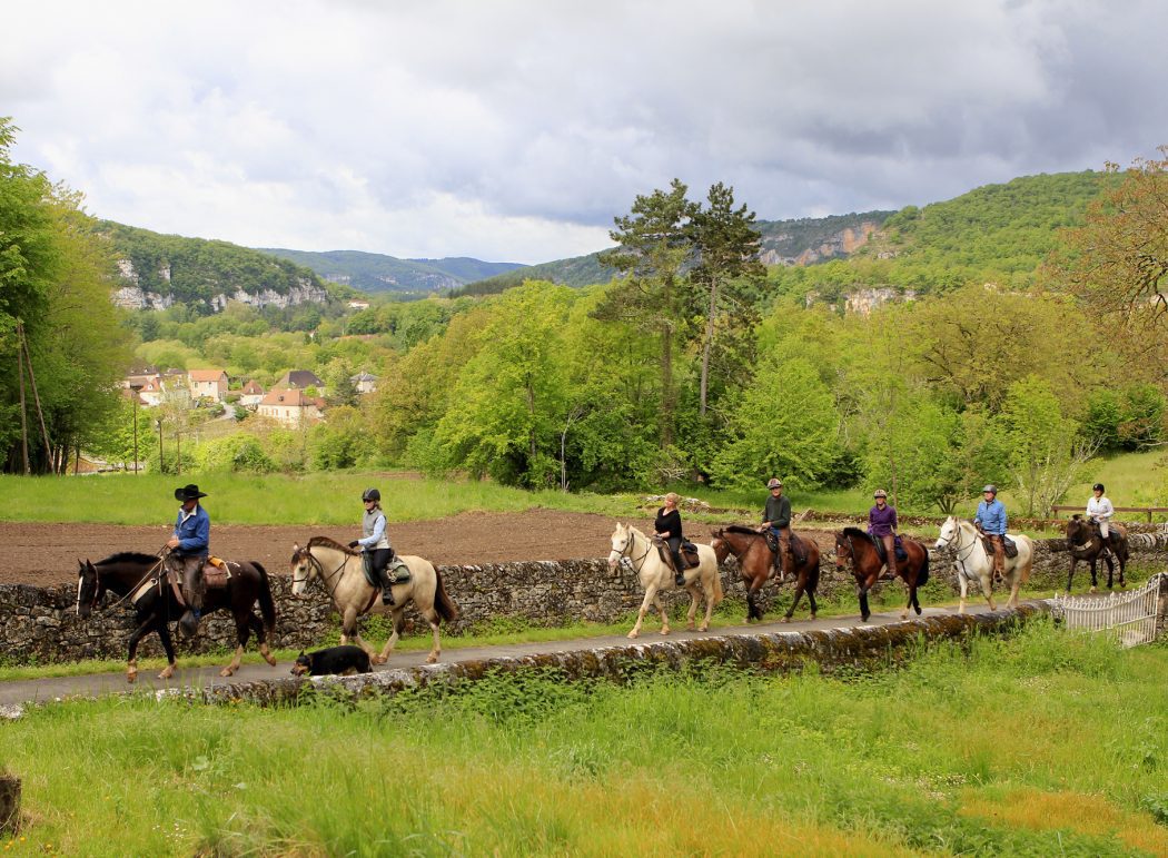 Horses on Malbec trail
