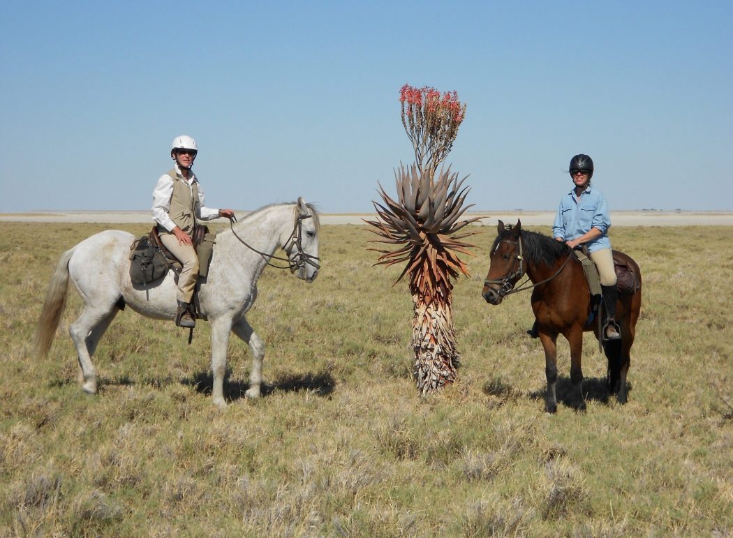 Enjoy the natural surroundings of the Kalahari on this horseback riding vacation in Botswana