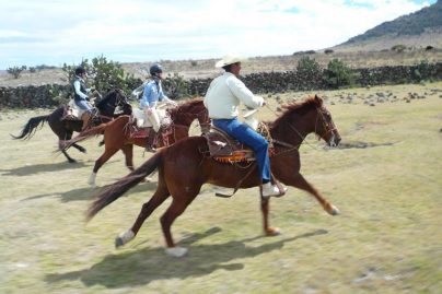 Enjoy good riding on this equestrian holiday in Mexico at Rancho Puesto del Sol