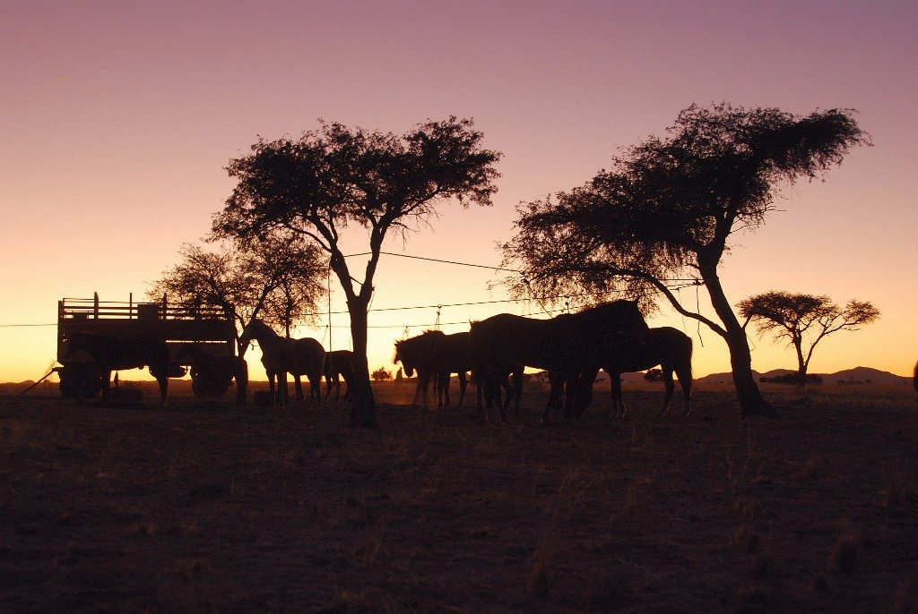 Witness the beauty of the landscape on the Ride to the Sea horseback riding vacation in Namibia