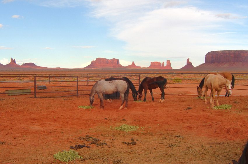 Enjoy spectacular landscape on this horseback riding vacation through Navajoland of Arizona