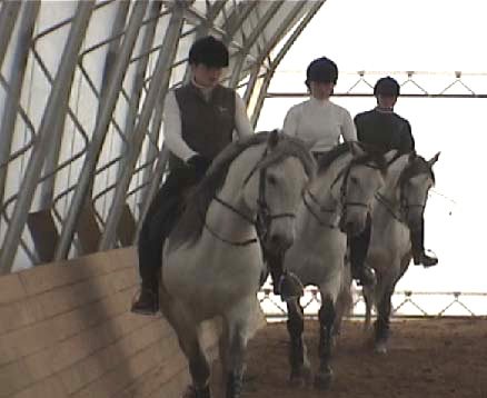 Classical Dressage in New England- practice your classical dressage skills