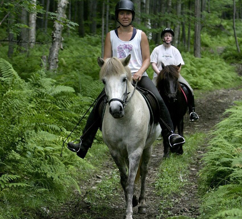 Ride through meadows and forests on the Sugarbush Tolt Trek horseback riding tour in Vermont