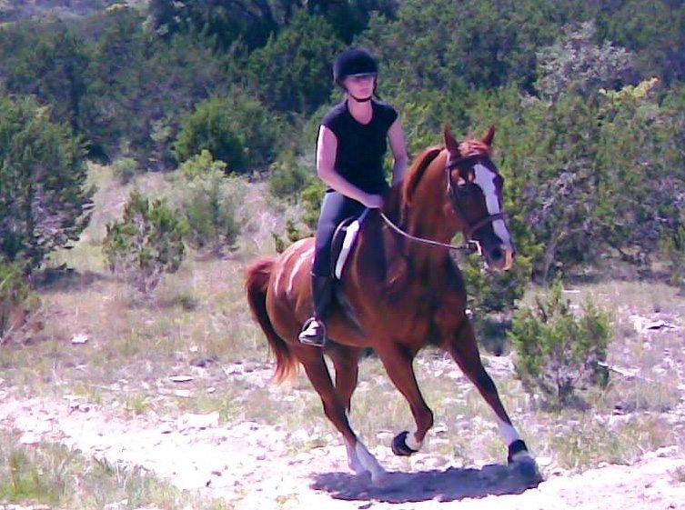 Hill Country Instructional Program- ride well-trained horses during your clinic in Texas