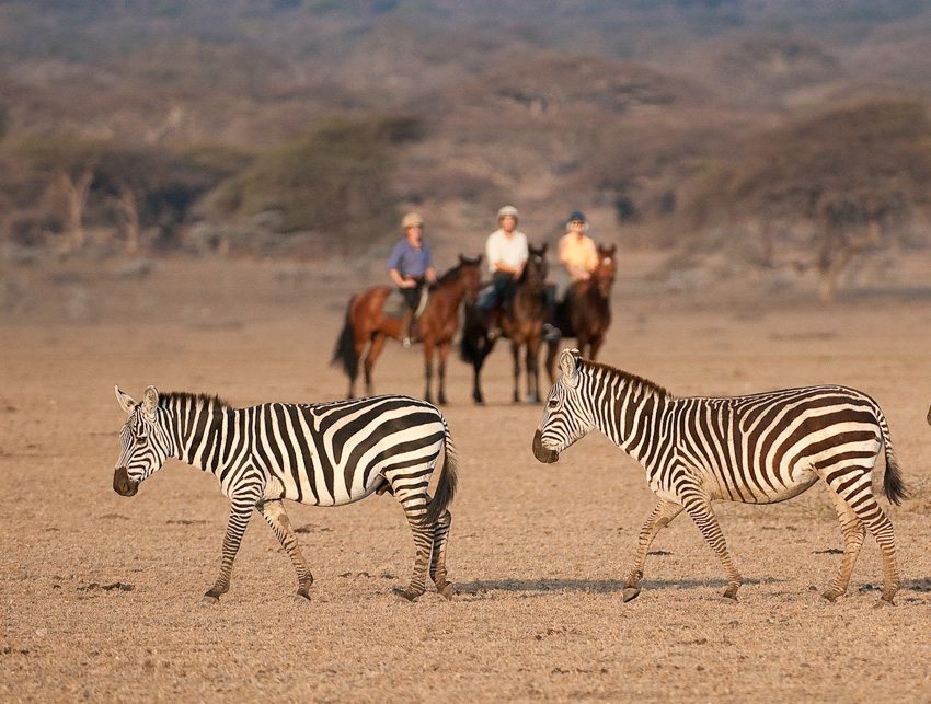 Ride with African game during the Ol Donyo Lodge hroseback riding vacation in Kenya