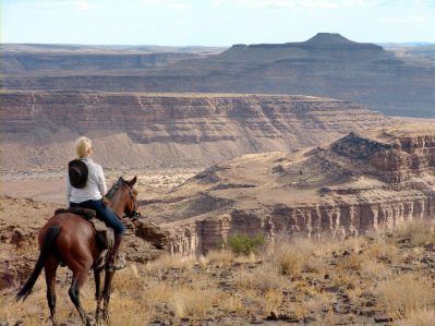 Namibia Desert horse riding adventure