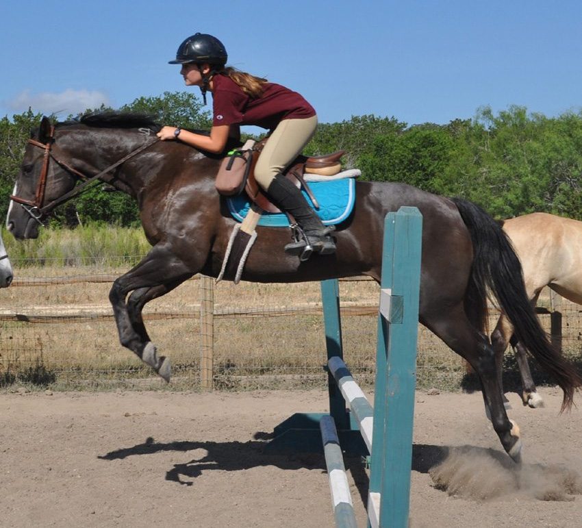 Enjoy a riding clinic jumping well-trained horses and improving your skill