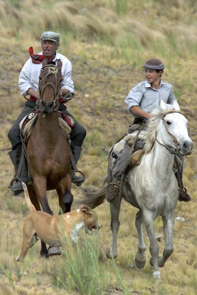 Ranch horseback riding vacation holidays 3