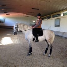 The author on a Portuguese Lusitano (and the most highly trained dressage horse she will ever sit on!)